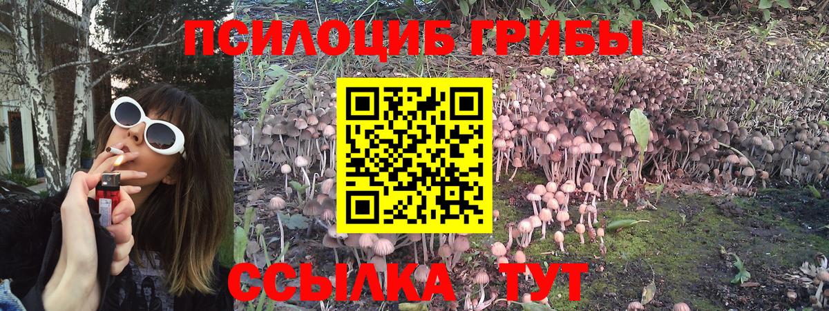 Галлюциногенные грибы Cubensis  Вход с VPN  Галлюциногенные грибы MAGIC MUSHROOMS  Крымск 